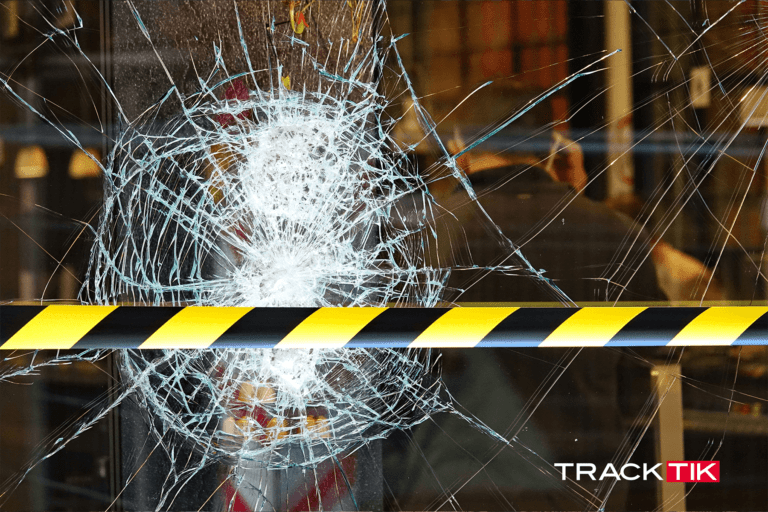 Security and the Rising Tide of Crime in the Retail Industry