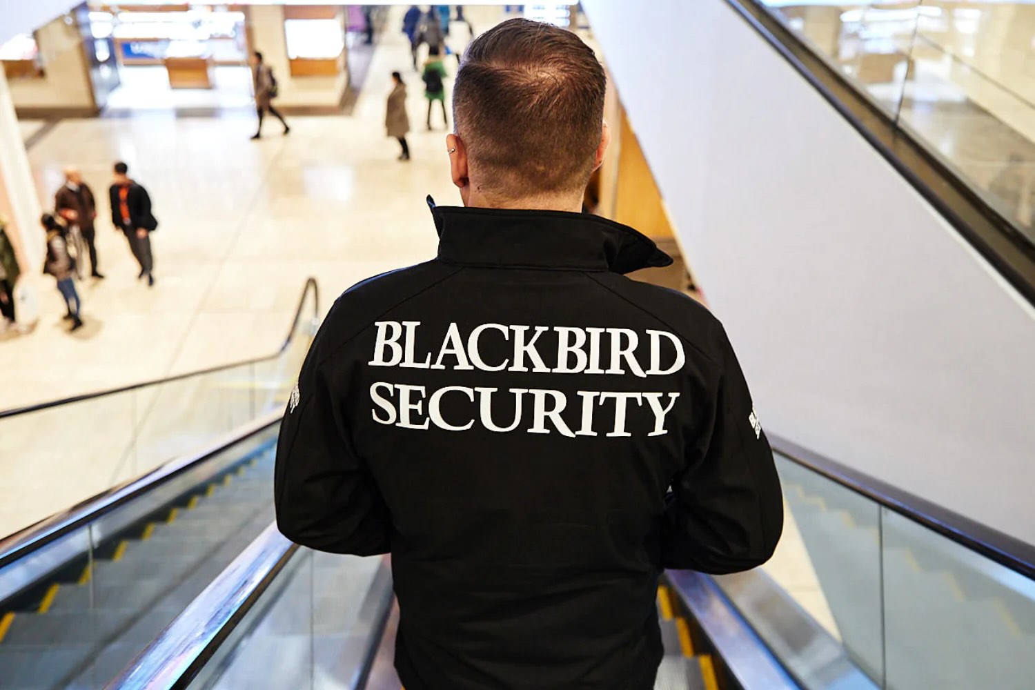 Security guard wearing Blackbird Security uniform
