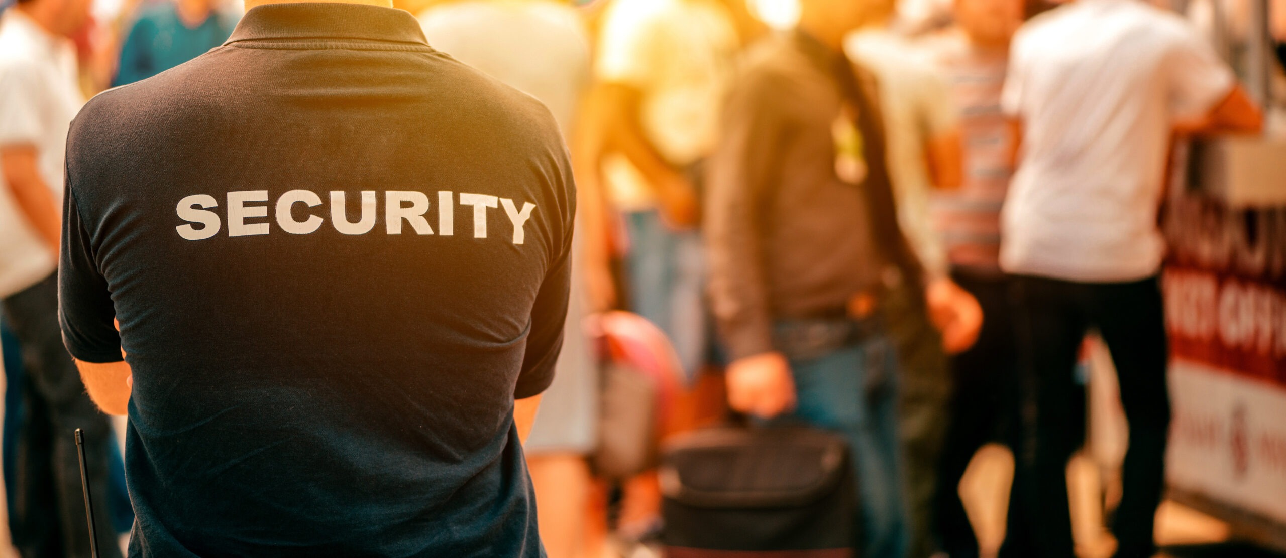 Security guard at live festival event standing in front of the crowd